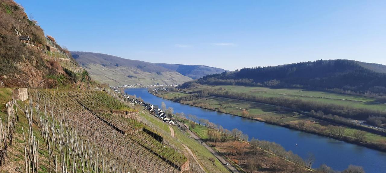 Apartment In Spay Smile Zell-Merl Mosel Eksteriør billede